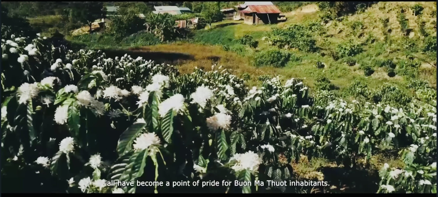 8 tác phẩm vào vòng chung khảo Cuộc thi video clip giới thiệu về Cà phê Buôn Ma Thuột 